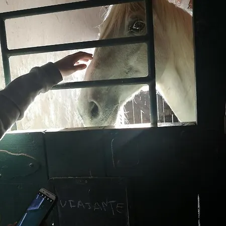 Comenda Da Povoa Томар