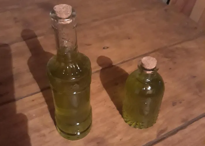 Alpehytte Comenda Da Povoa Tomar