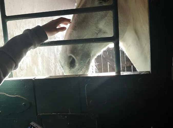 Comenda Da Povoa Tomar