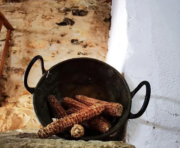 Comenda Da Povoa * Tomar